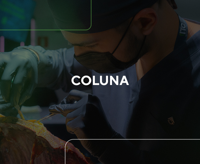 Coluna
